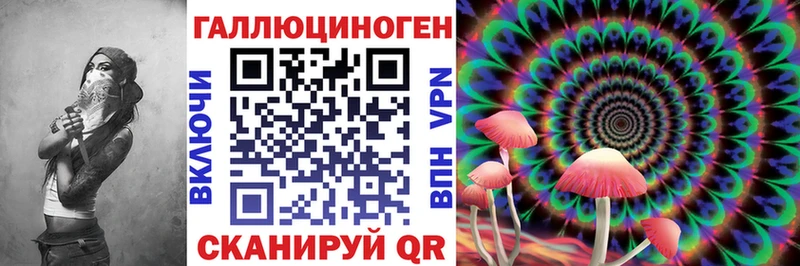Псилоцибиновые грибы Psilocybine cubensis  Суоярви 